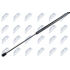 ΑΜΟΡΤΙΣΕΡ ΠΟΡΤ ΜΠΑΓΚΑΖ ΓΙΑ  NISSAN QASHQAI II 13-   L=530MM, F=425N